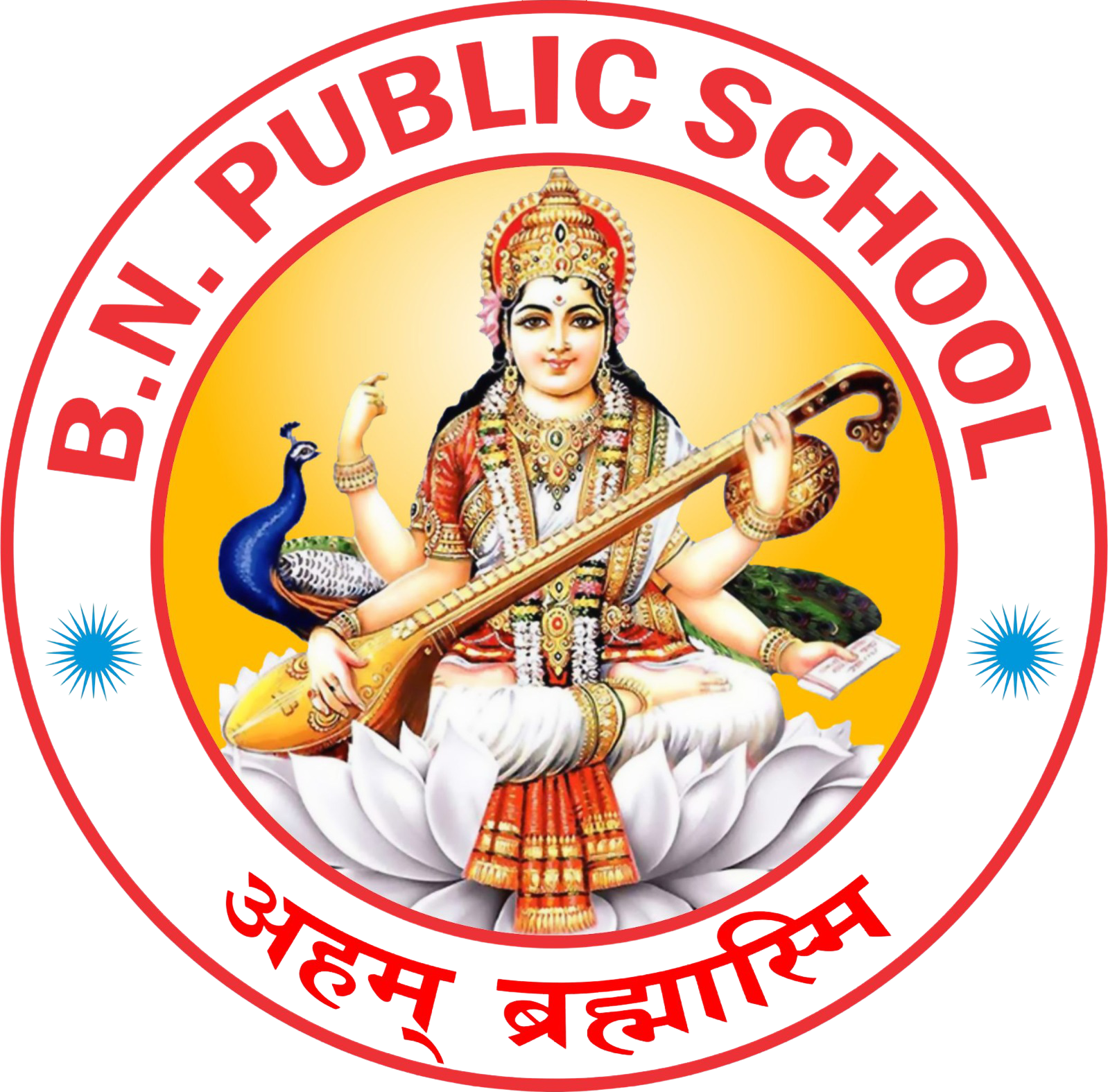 B N Public School Logo